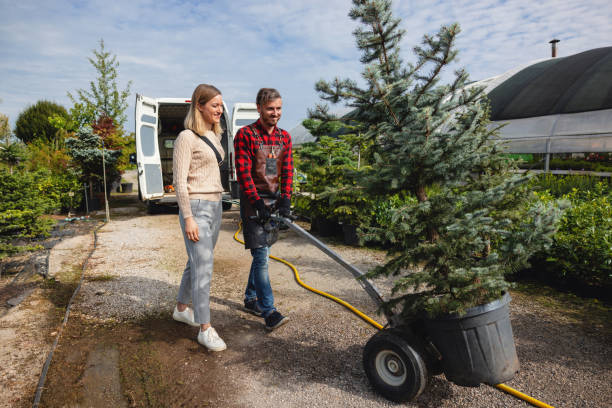 Best Fruit Tree Pruning  in Winona, MN